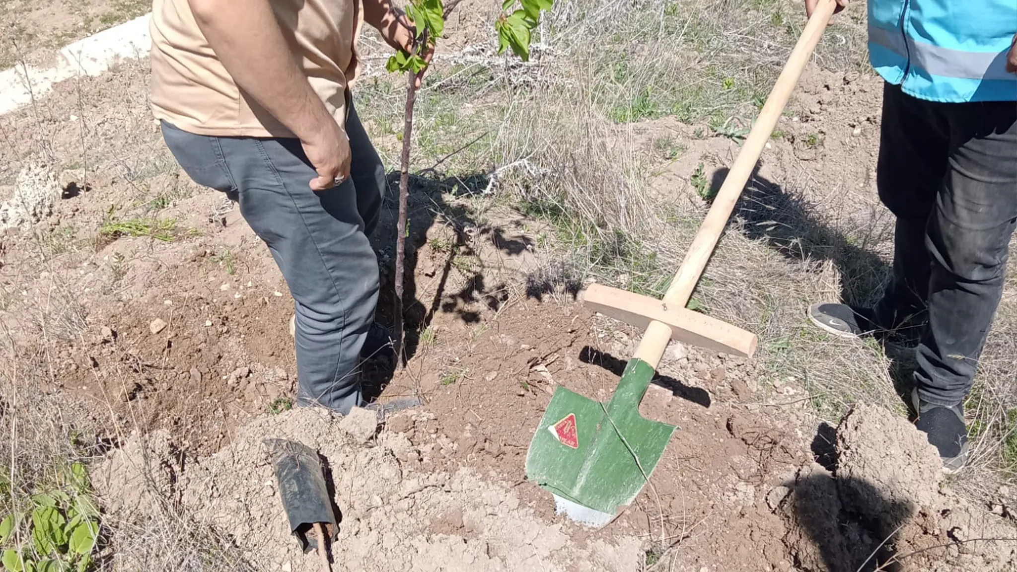 Özvatan’da Ağaç Dikme Şenliği Gerçekleştirildi